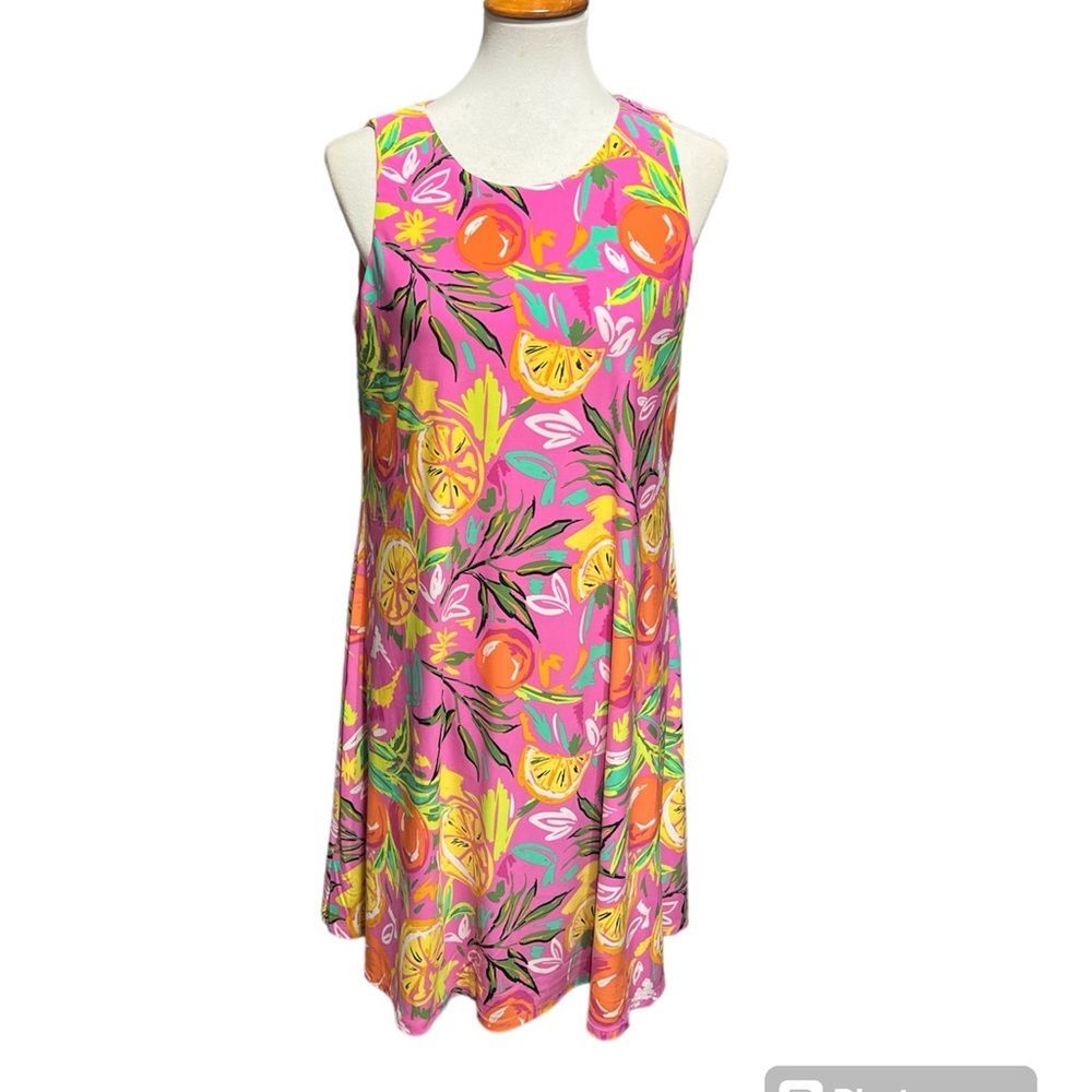 NWT Cappagallo sleeveless dress size medium